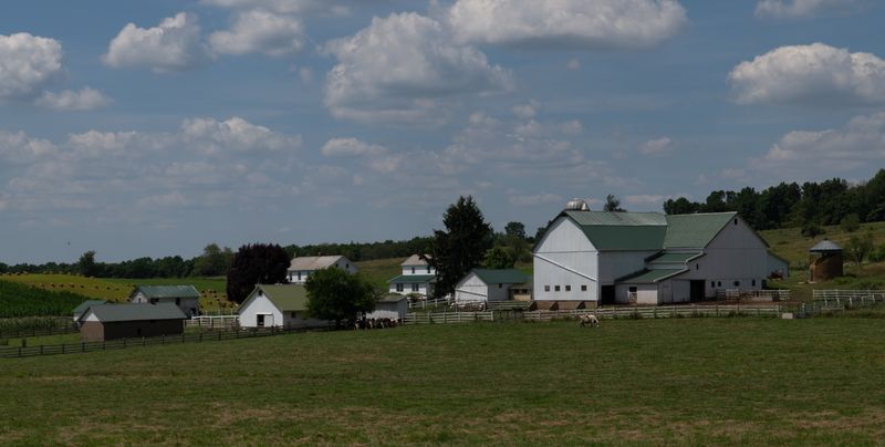 How Communities Handle Change Internally