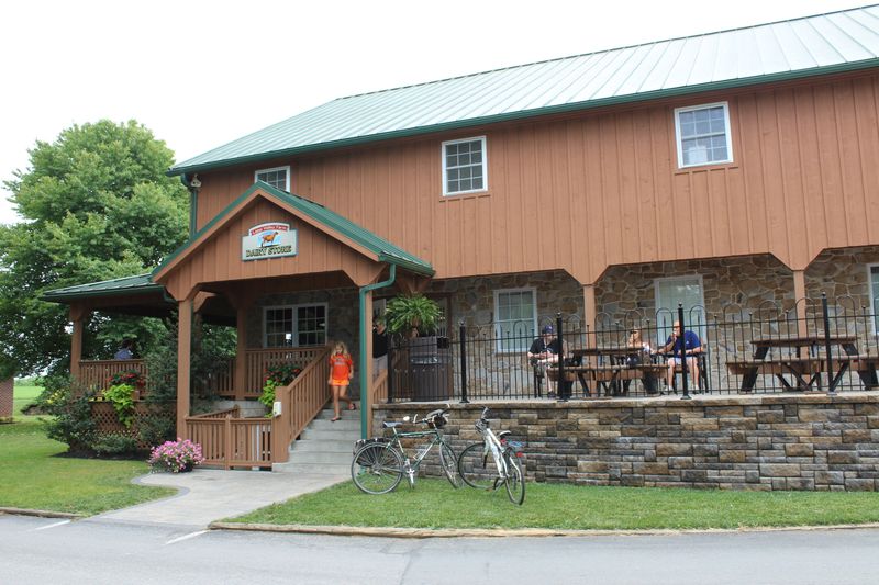 How Amish Communities Adapt Without Inviting Attention