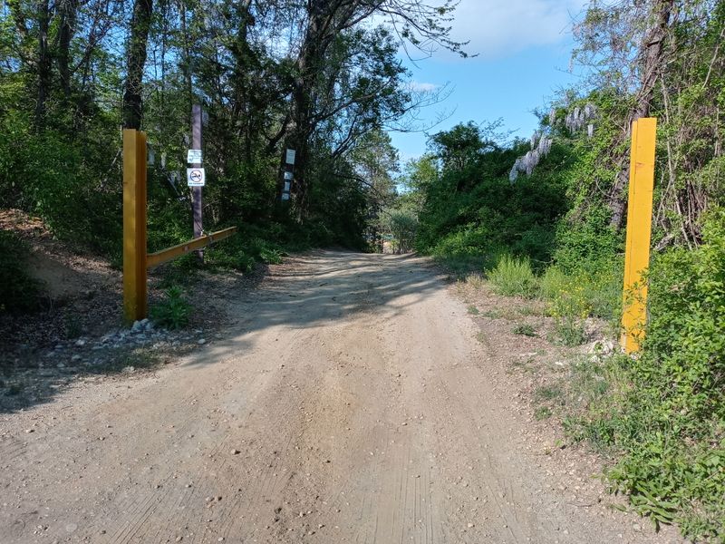 Finding the Place Requires Detective Skills and Painted Tree Markers