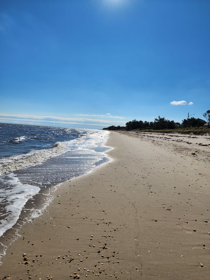 What A Typical Day Looks Like Here