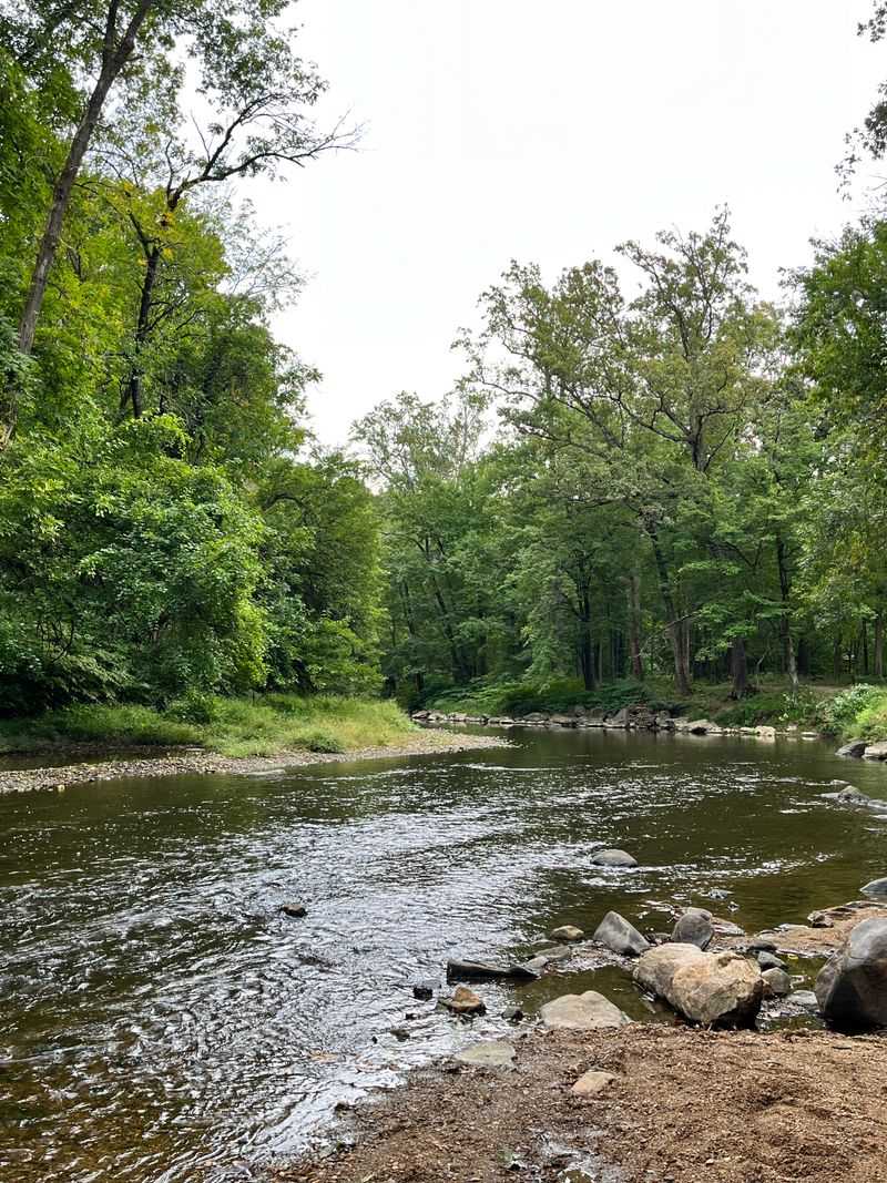 How Nature Took Over The Grounds