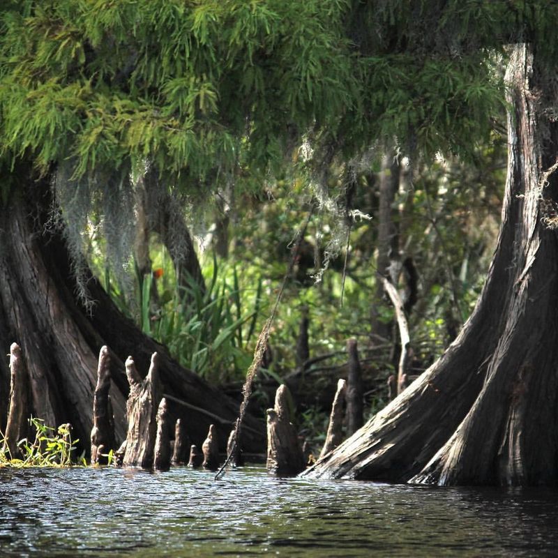 Photos That Make People Do A Double Take