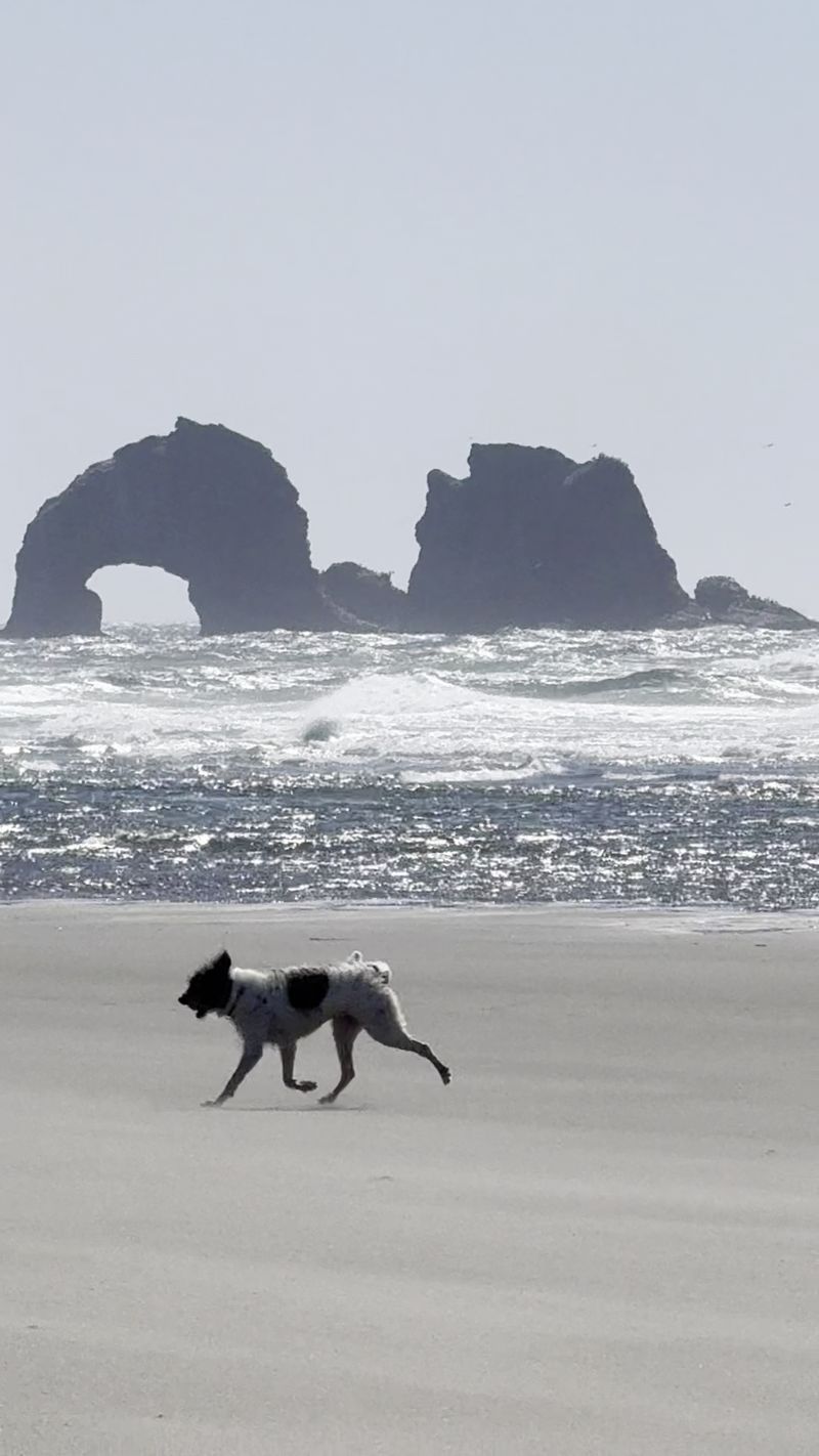 How Rockaway Beach Moved On