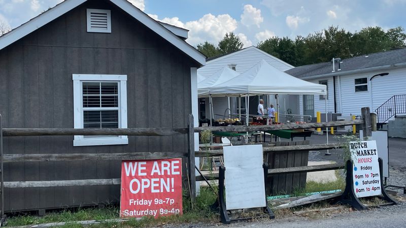 Hand-Twisted Soft Pretzels That Melt in Your Mouth