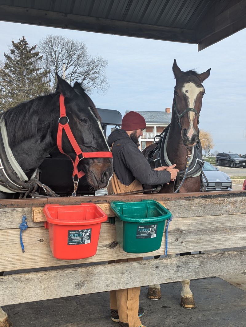 What Tourists Often Misread About What They’re Seeing