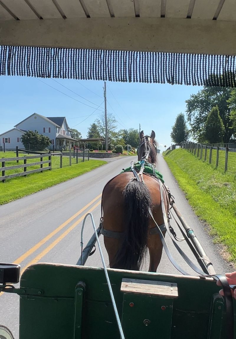 Where Horse-And-Carriage Travel Is Still Everyday Life
