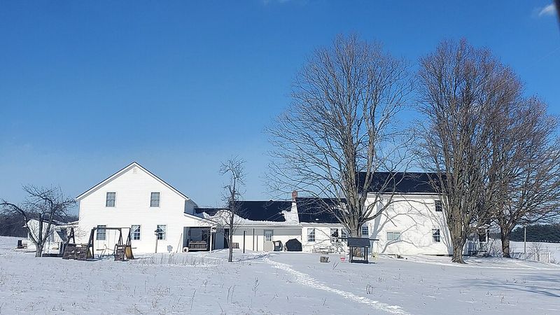 Winter Nights That Feel Especially Still