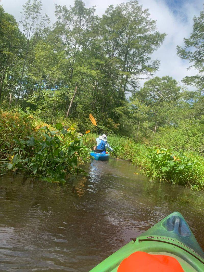 Dragon Run Wilderness