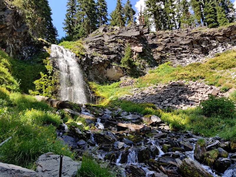 Spring-Fed Secret That Never Runs Dry