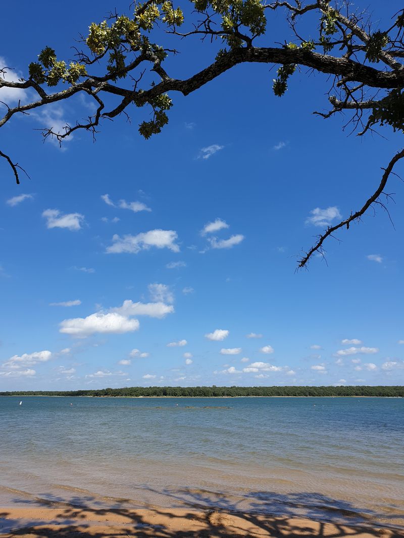 Water Quality and Lake Conditions Become Concerns