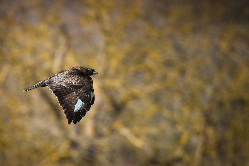 You Can’t Hunt On Sundays In Certain Areas