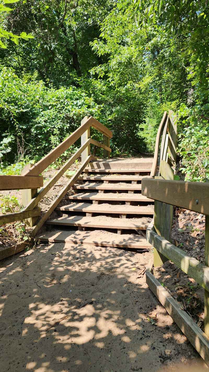 Trail Conditions Have Deteriorated From Overuse