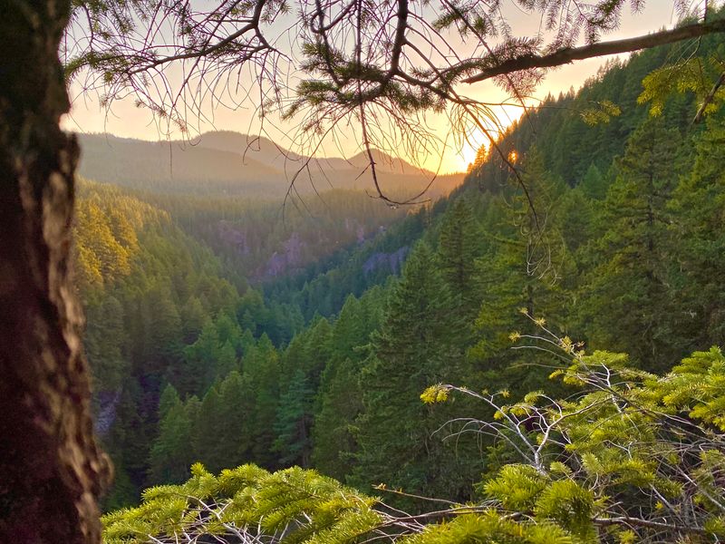 Peaceful Solitude Away From Urban Noise and Crowds