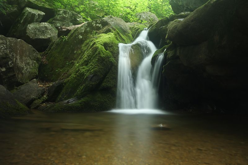 Swimming and Wading Opportunities
