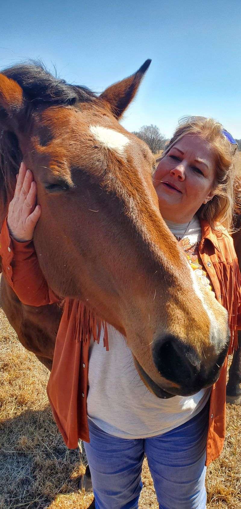 Hands-On Experiences Like Feeding and Petting Gentle Horses