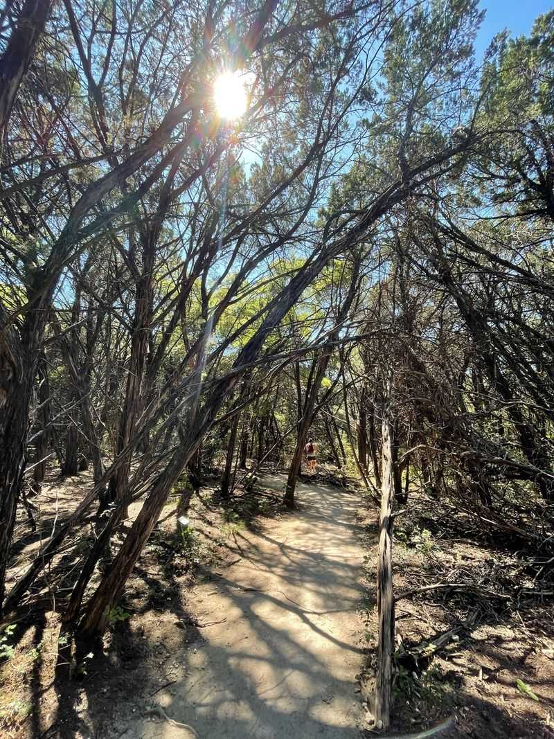 Perfect Urban Wilderness Training Ground