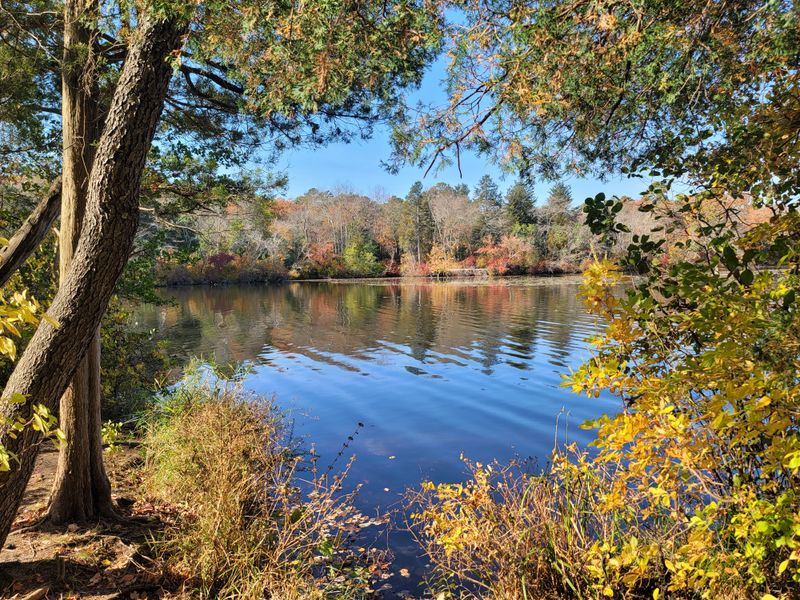 Picnic Areas Invite Leisurely Outdoor Meals