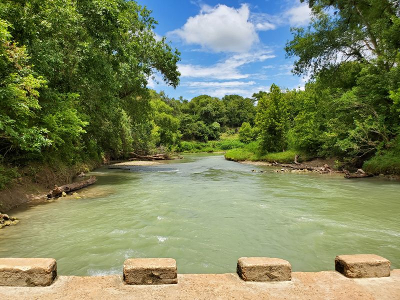 Camping Under the Stars