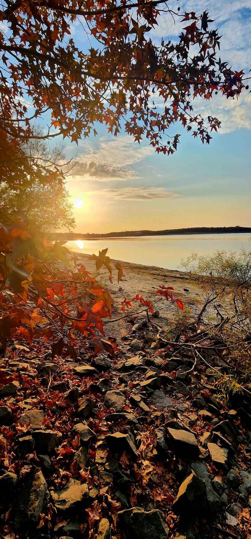 Seasonal Transformations That Rewrite the Scenery