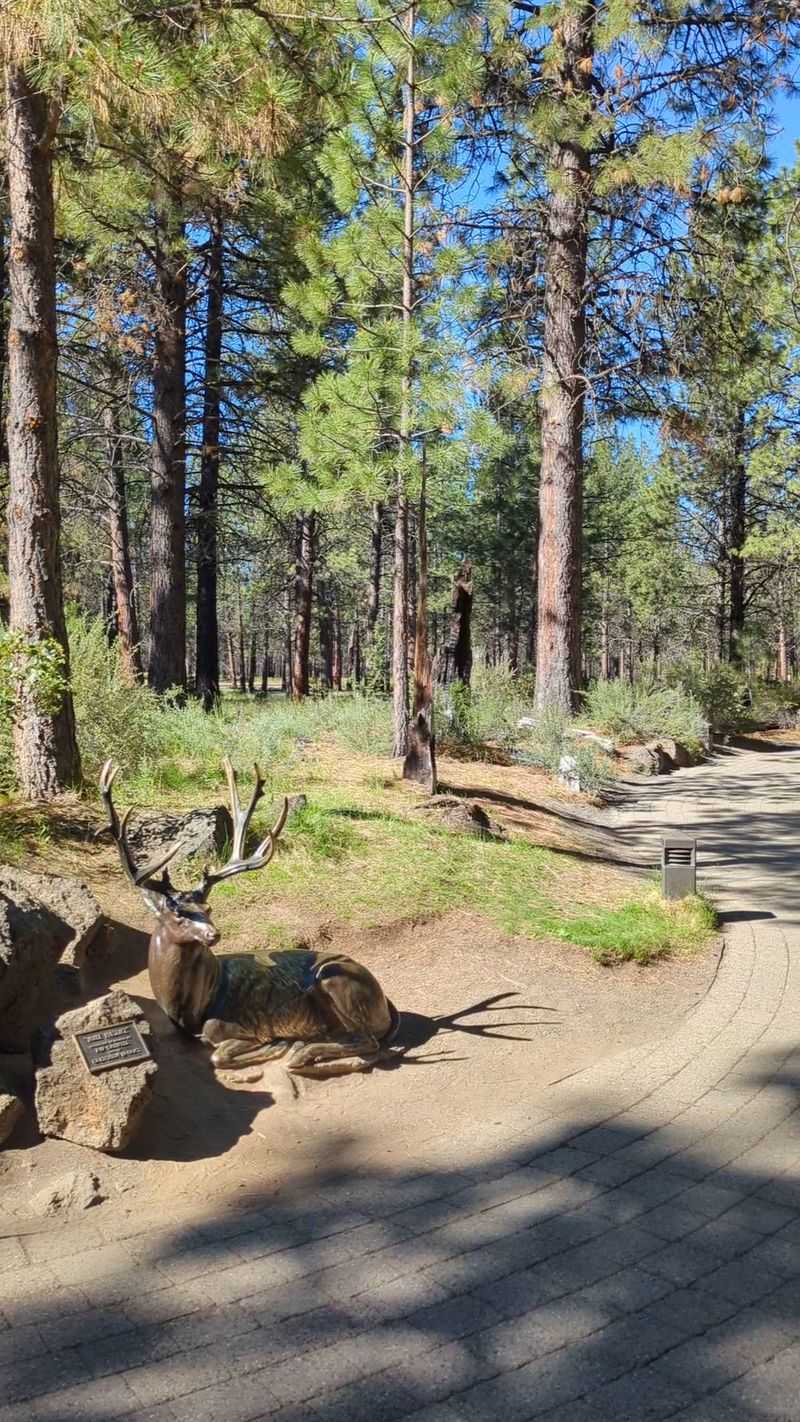 Bend’s High Desert and Cascade Access