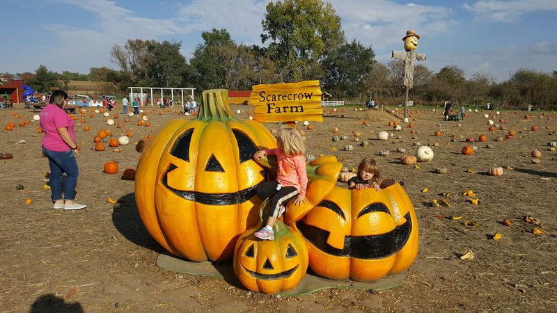 Scarecrow Farm Corn Maze, Lawton