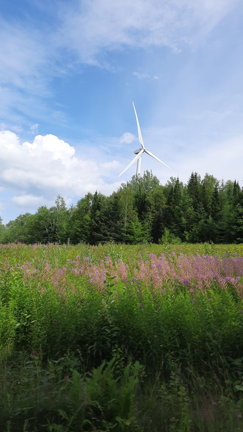 How Clean Energy Powers Daily Life