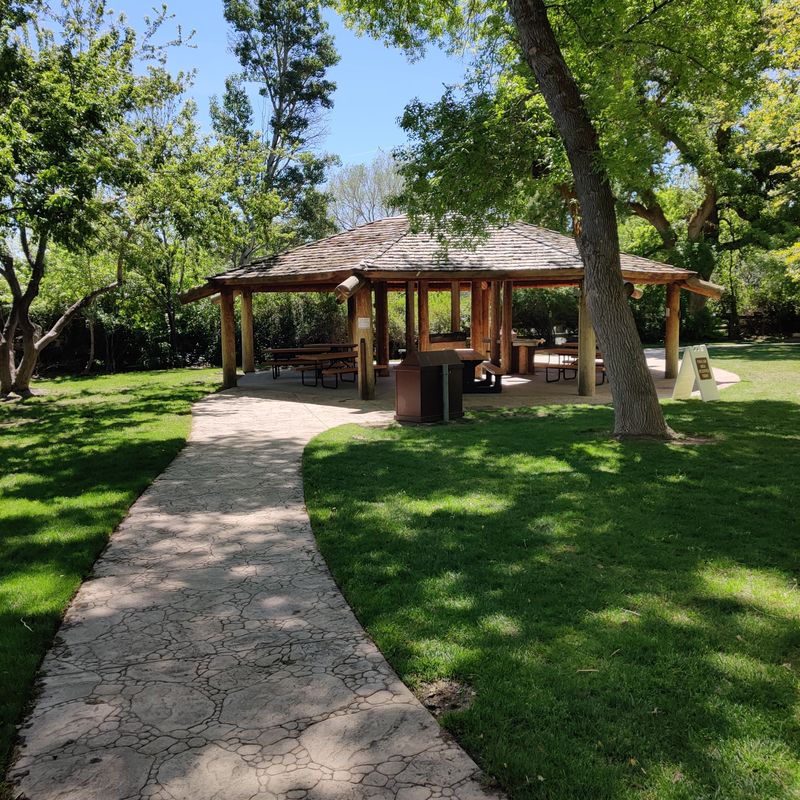 Learn From Locals And Avoid Fines