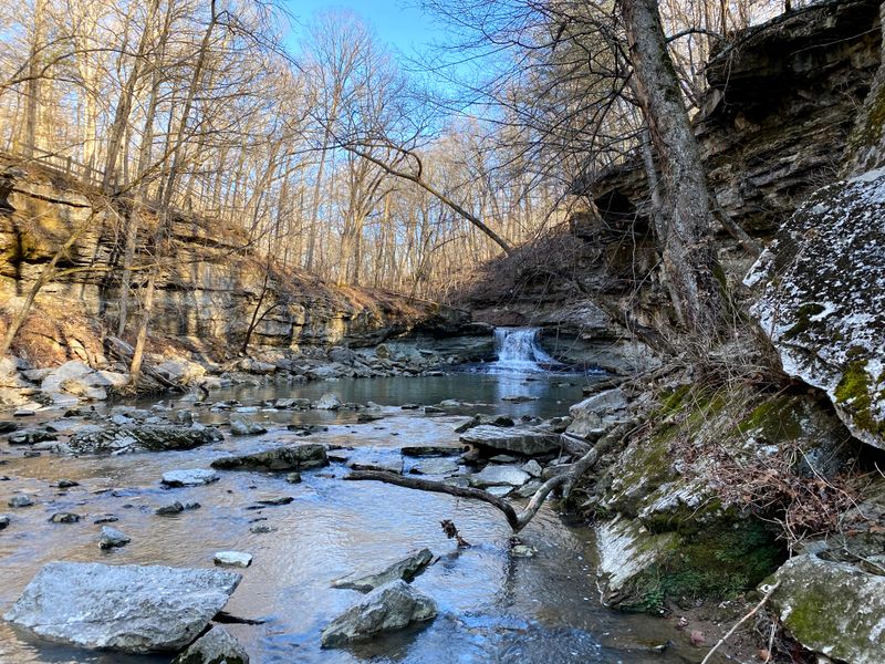 Scenic Hiking Trails for Every Skill Level