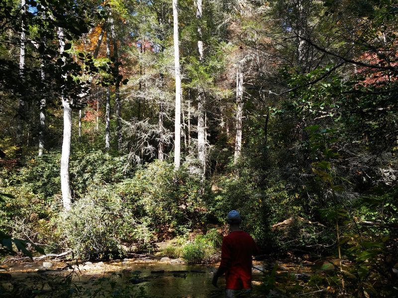 Roads That Filter Out The Curious