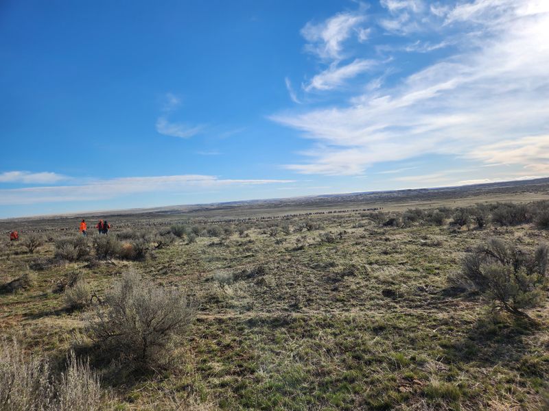 Desert Landscape Shapes Perspective