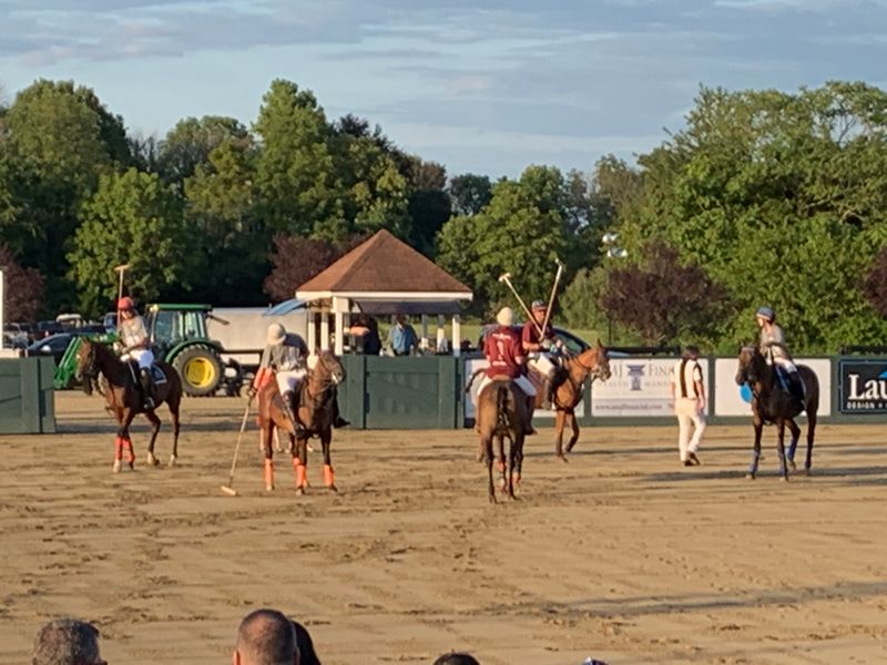 Summer Polo Matches on Sunlit Fields