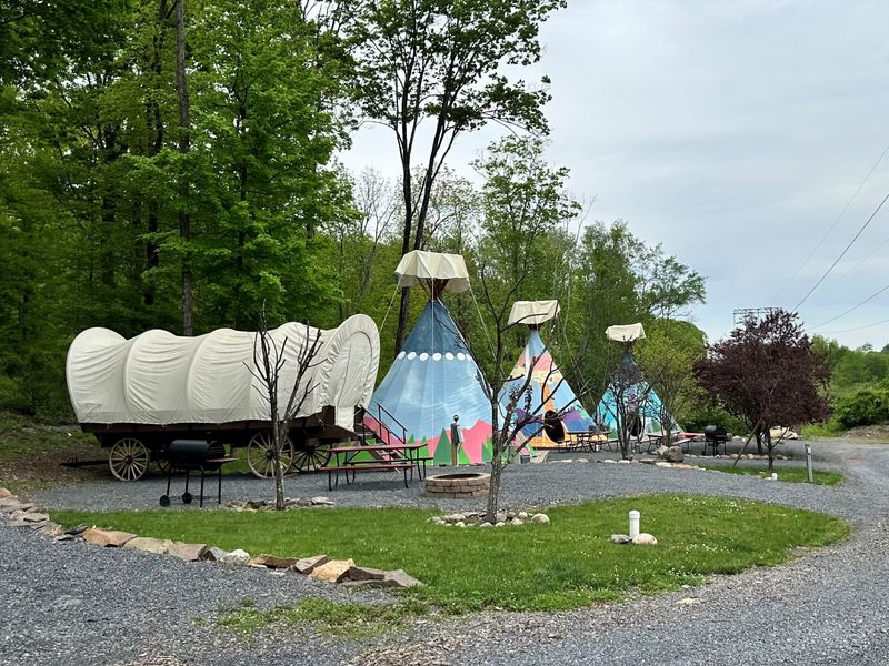Camping Under Stars in Natural Serenity