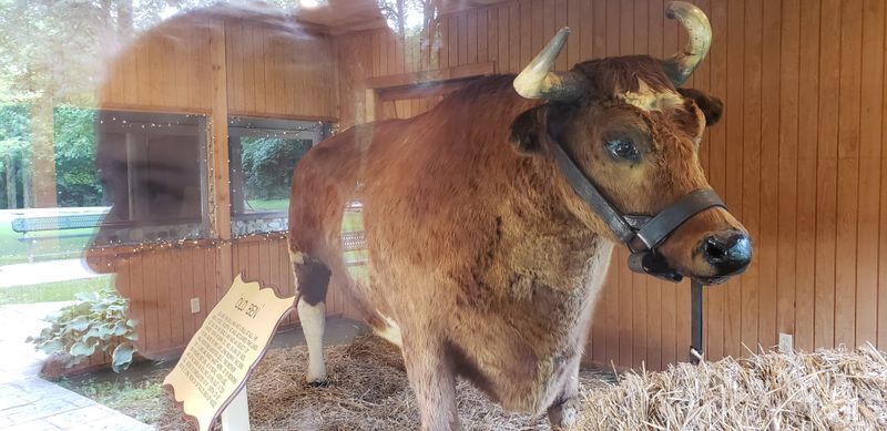 A Tragic Accident on the Ice