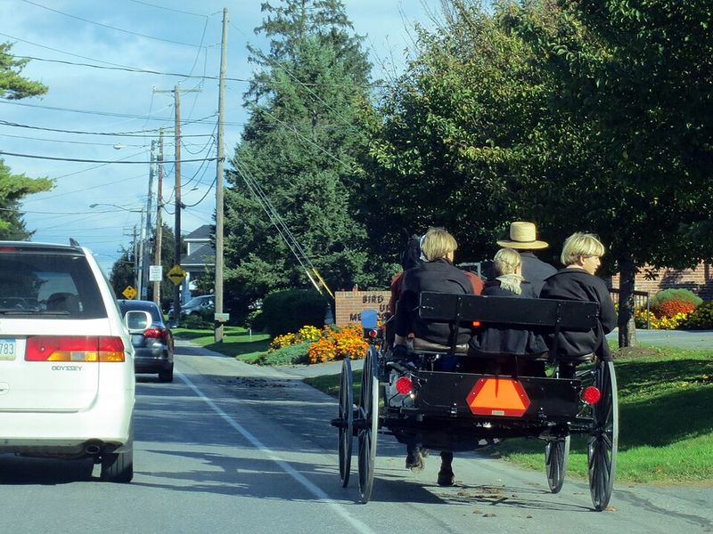 Big Family Details Aren’t Casual Small Talk