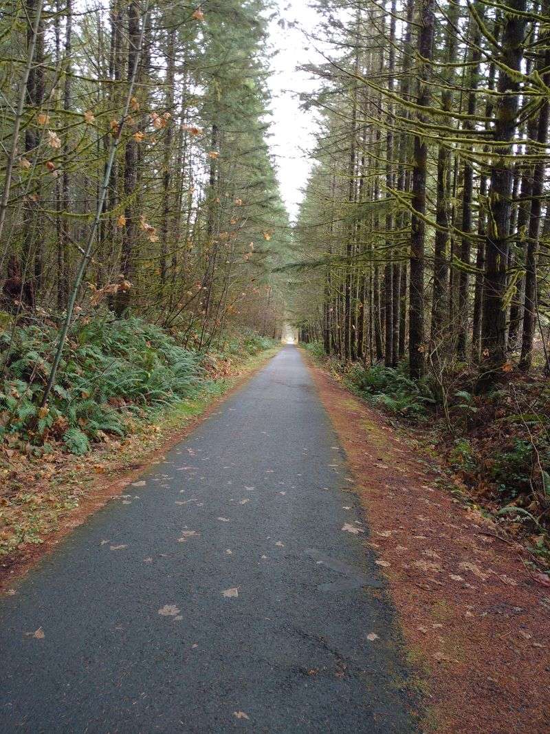 Vernonia, Coast Range