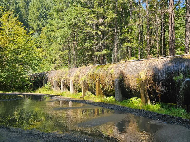 The Mysterious Giant Pipeline