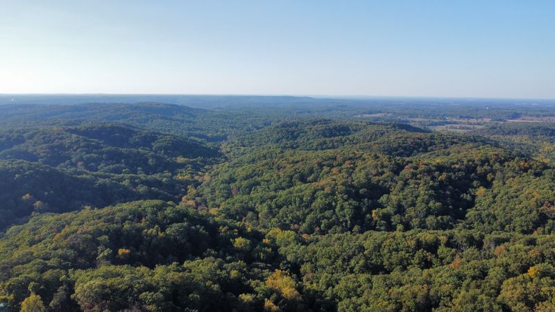 Clark State Forest Hidden Hollows