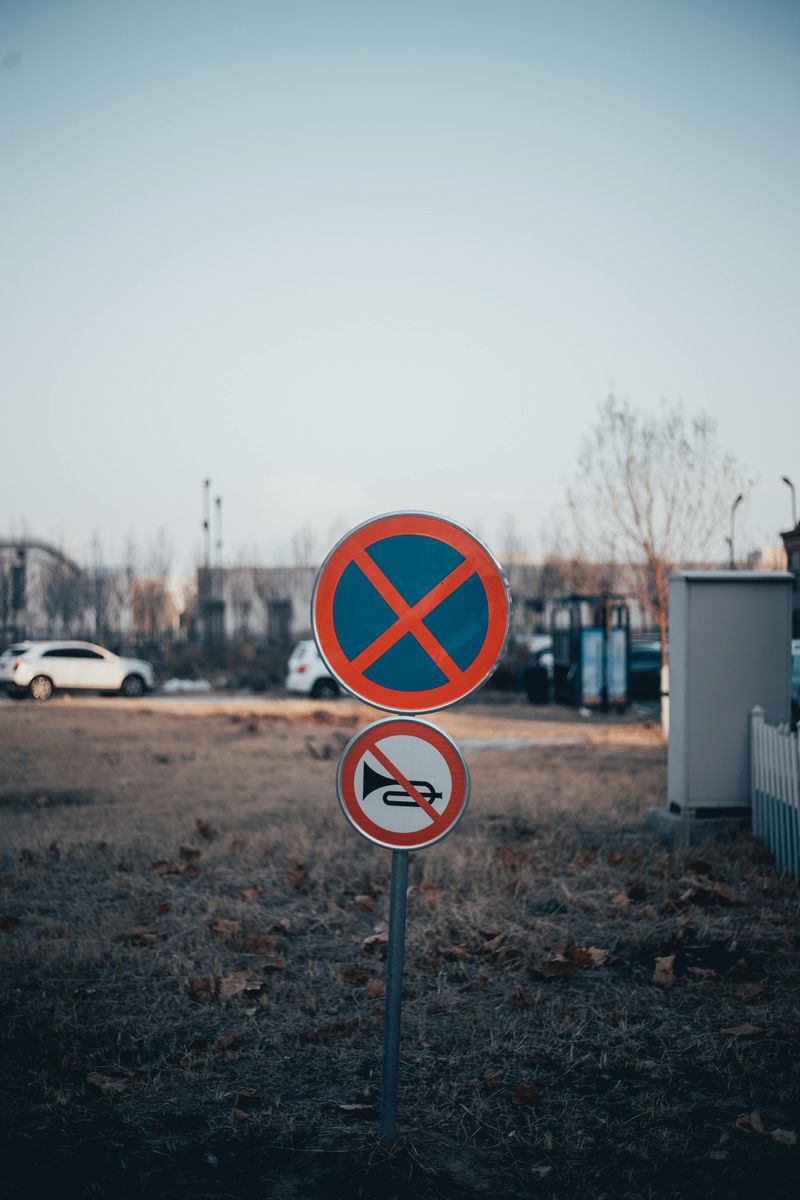 You Can’t Use Your Horn When You’re Irritated