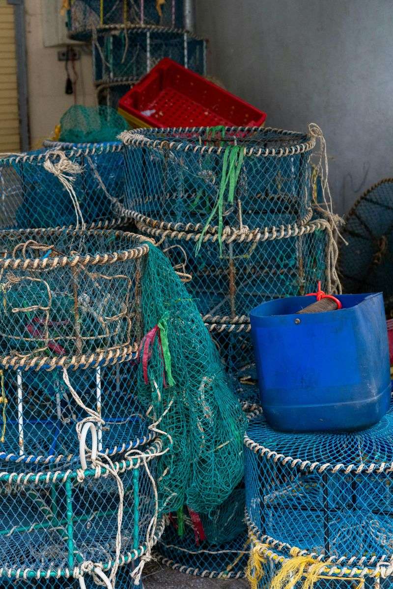 It Is Illegal To Steal Someone’s Crawfish Trap