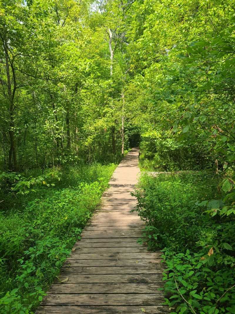 Yellow Springs