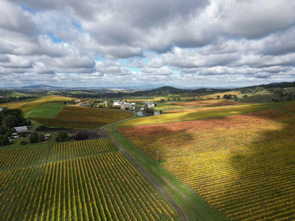 The beauty of Australia's agricultural regions welcomes all. Photo c. Richand Lin via unsplash.
