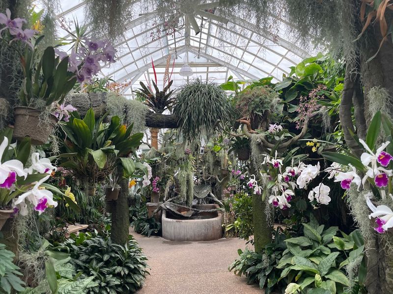The Duke Farms Orchid Range