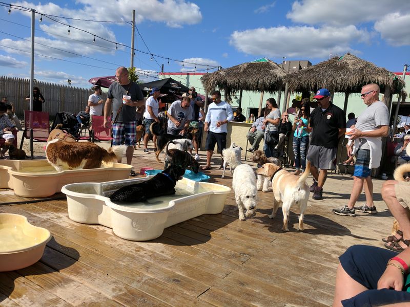 The Wonder Bar, New Jersey