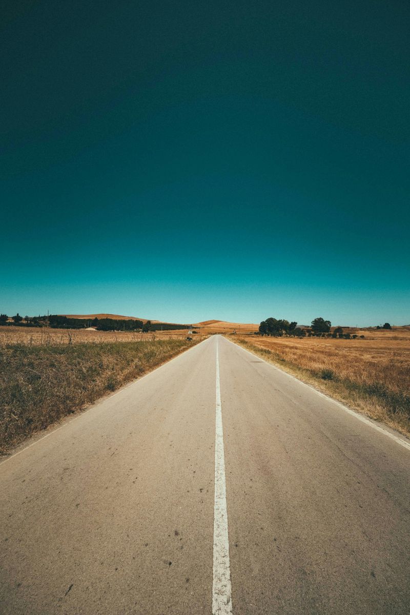 Wide-Open Landscapes Feel Instantly Calming