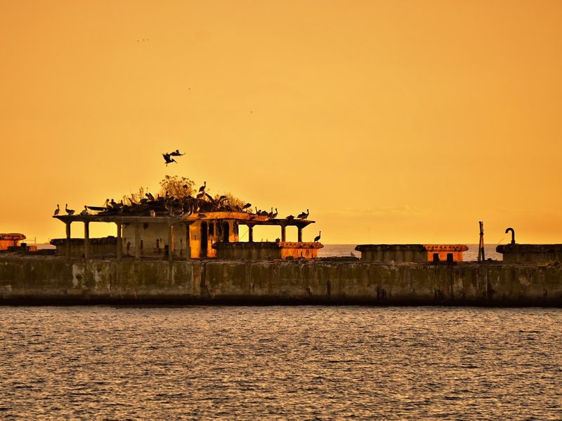 Concrete Ships At Kiptopeke State Park