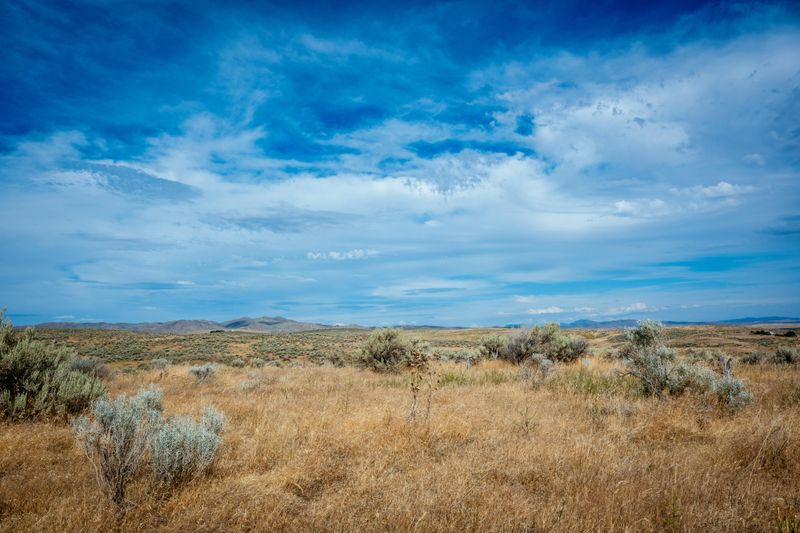 Wide-Open Landscapes That Feel Limitless Wide-Open Landscapes That Feel Limitless
