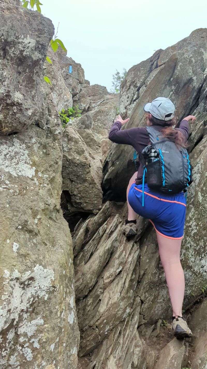 Quick Mile Loop With Big Rewards