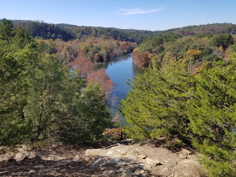 Cedar Lake Trail at Ouachita National Forest