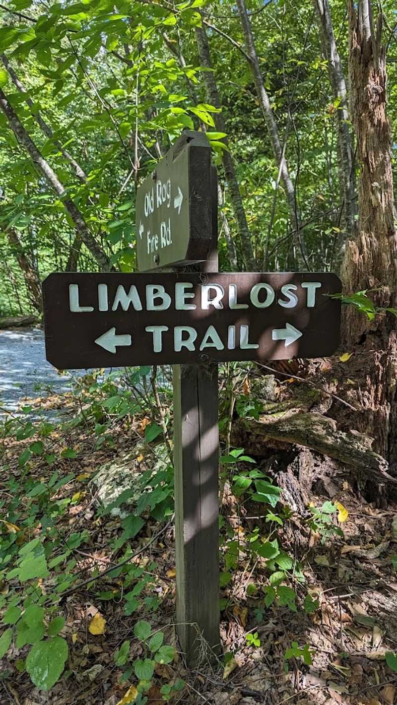 Limberlost Trail, Shenandoah National Park, Virginia