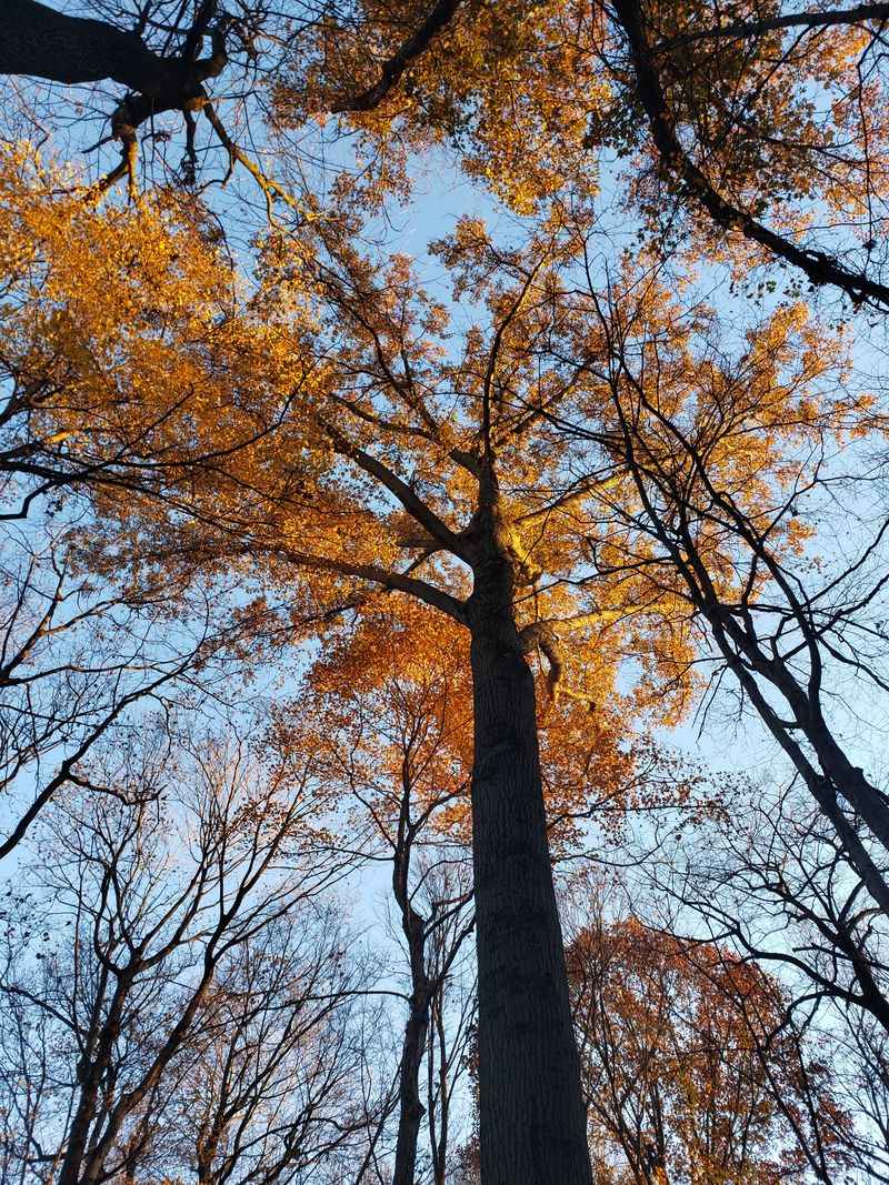 The Wildlife Viewing Here Is The Real Show